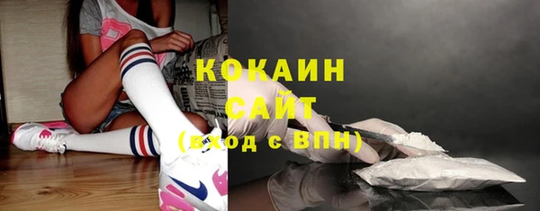 крисы Аркадак