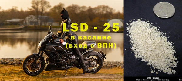прущие грибы Армянск