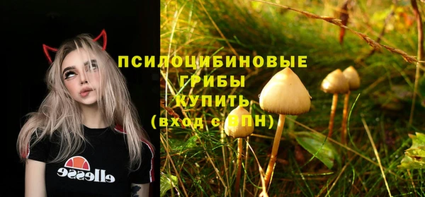 дурь Арсеньев