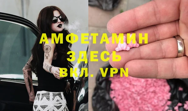 крисы Аркадак