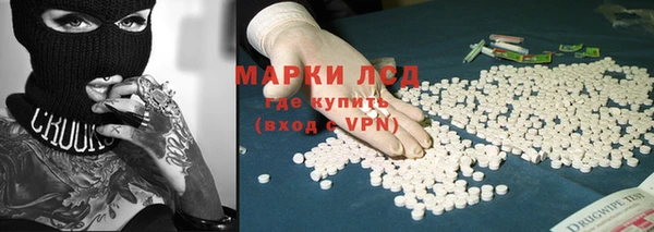 крисы Аркадак